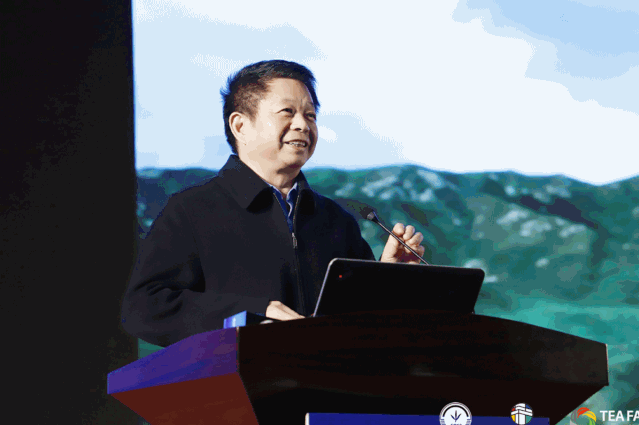 悉行业前沿引领全球风尚 2019深圳秋季茶博会于12月16日落幕！