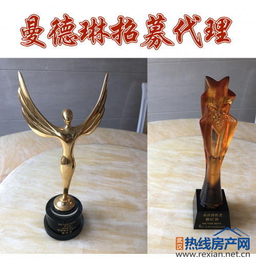 曼德琳洗发水效果怎么样？做代理能赚钱吗？