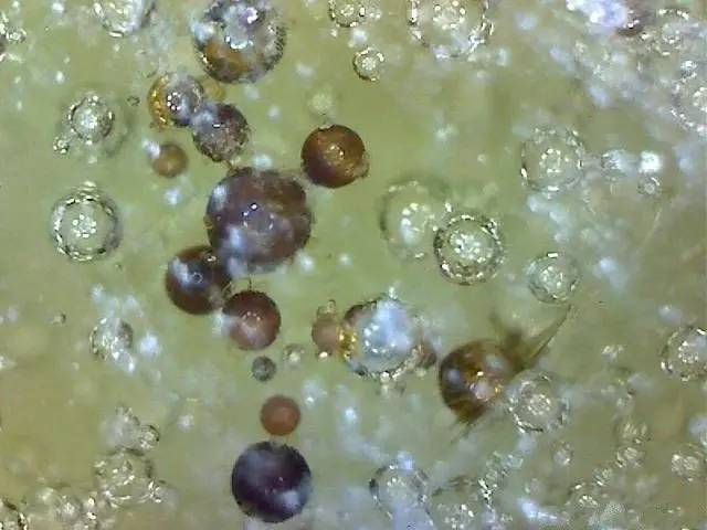 古瓷器的老化痕迹与气泡--图解