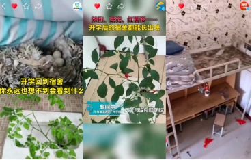 快手上的开学季 老铁：“原来久违的开学场景是这样的”