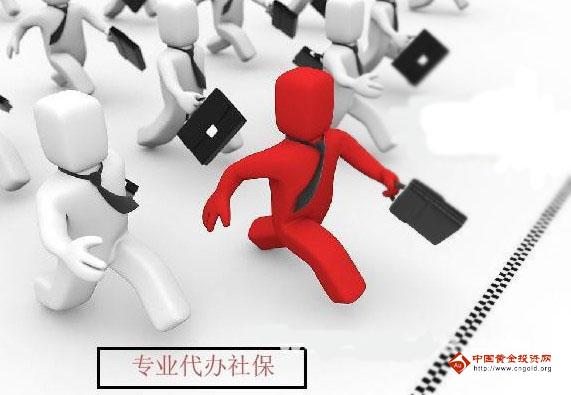 金投保险网-金投网