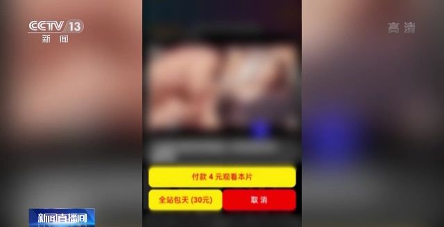 山东警方摧毁传播淫秽视频黑色产业链 41人落网