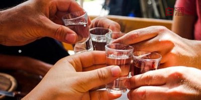西凤酒加盟店西凤酒加盟代理加盟费用