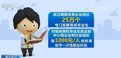 武汉应届毕业生就业补贴怎么领_哪些城市有生活补贴