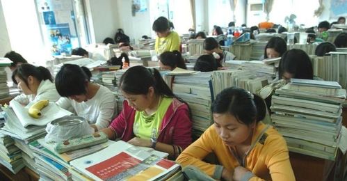 三只羊网络上班有多爽_三只羊网络有多少员工